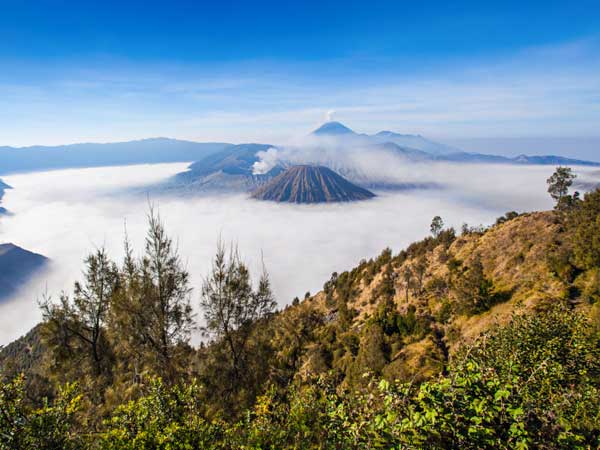 Special Paket Tour Gunung Bromo - Tengger